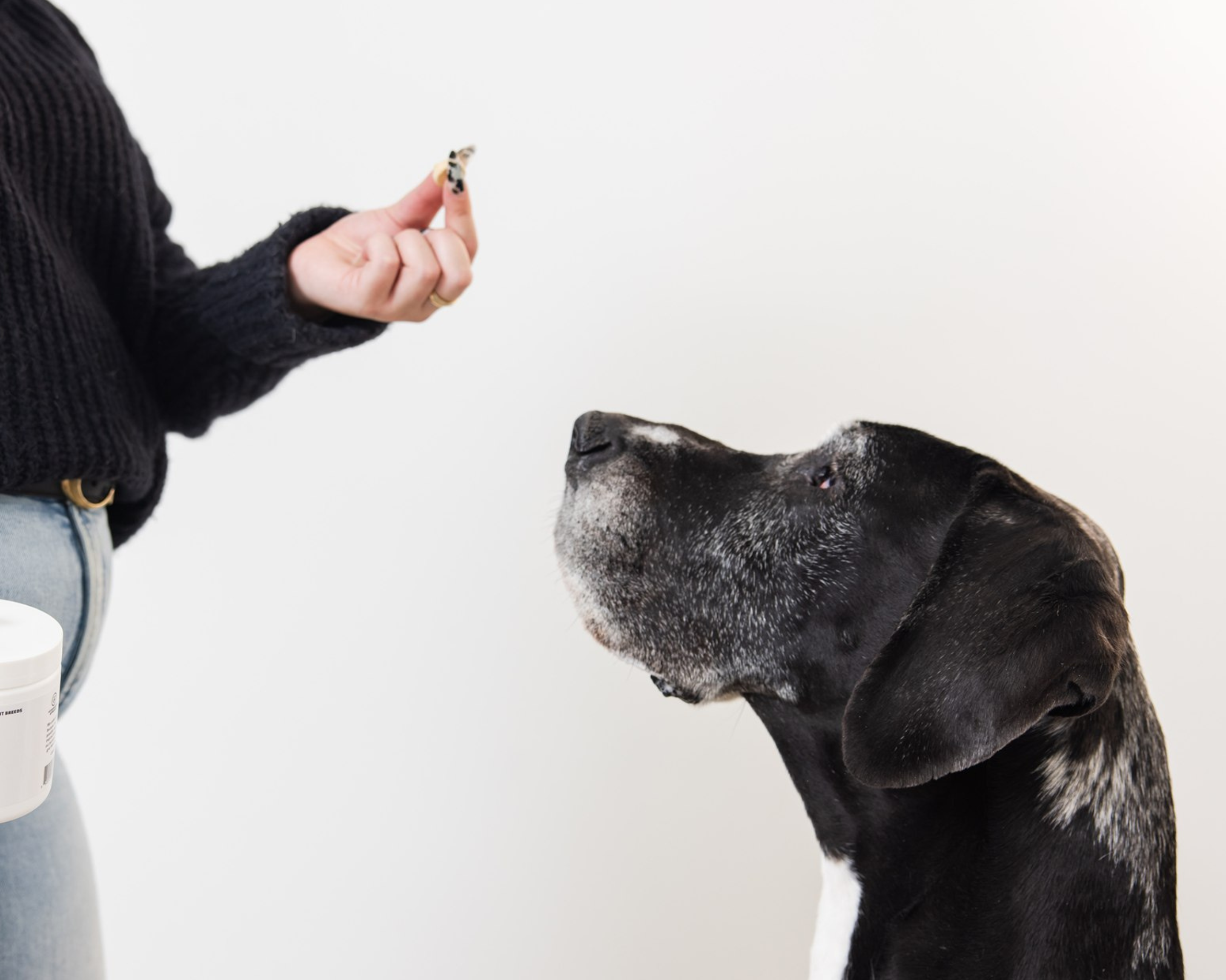The Limitations of Joint Supplements — What Big Dog Owners Need to Understand