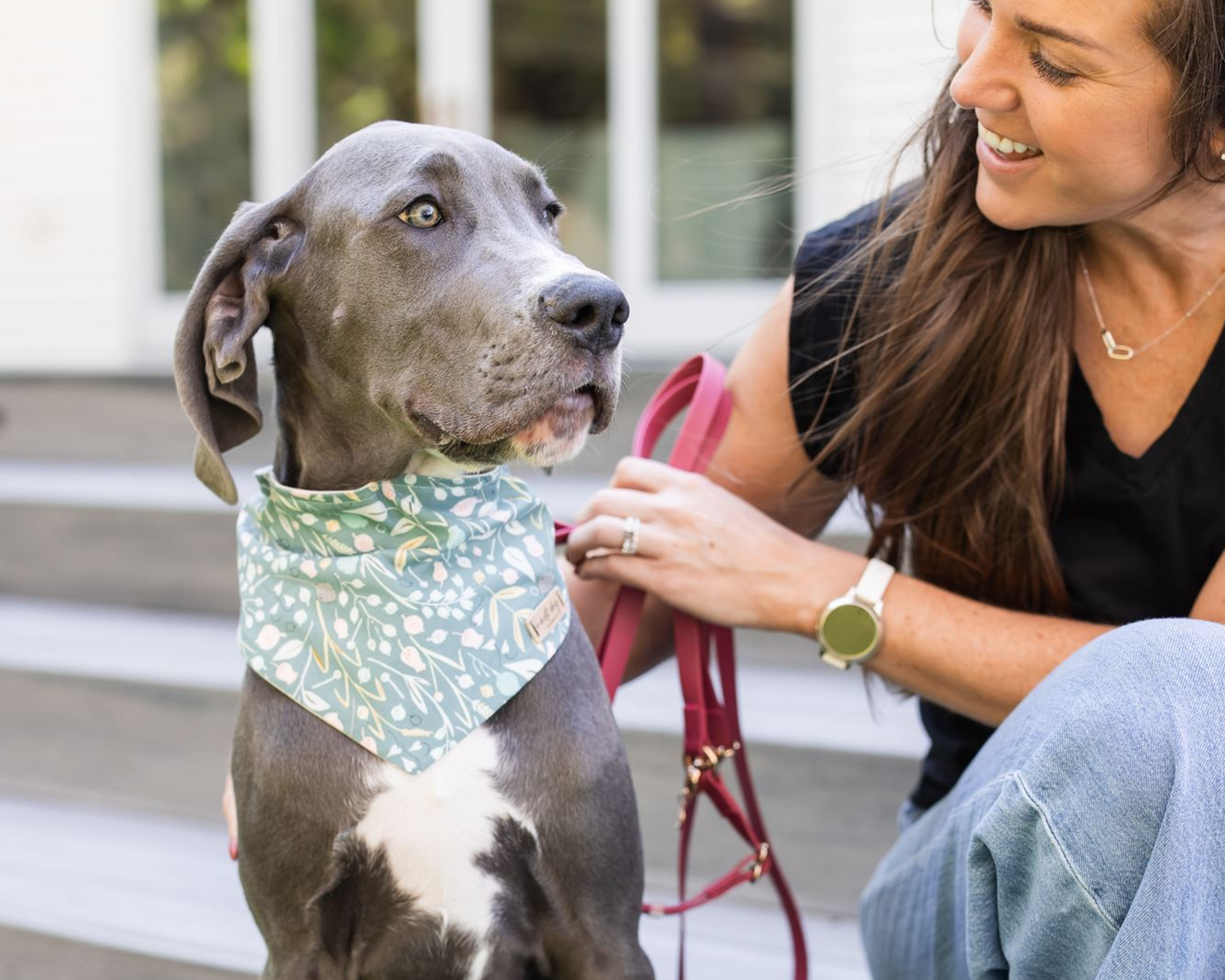 Daycare for Giant Breeds: Why Structure and Rest Beat All-Day Play
