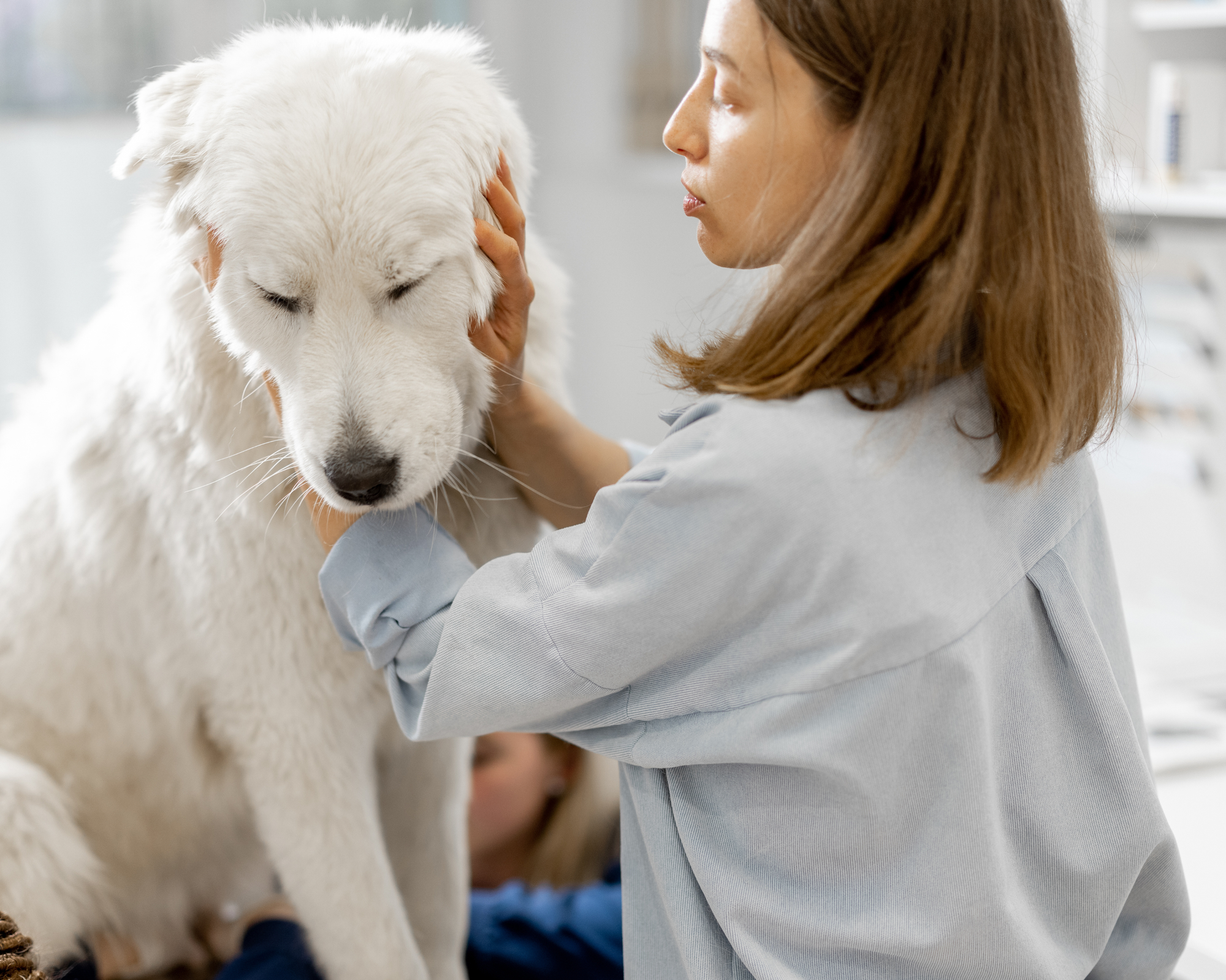 What If Vet Visits Didn’t Have to Be Traumatic?