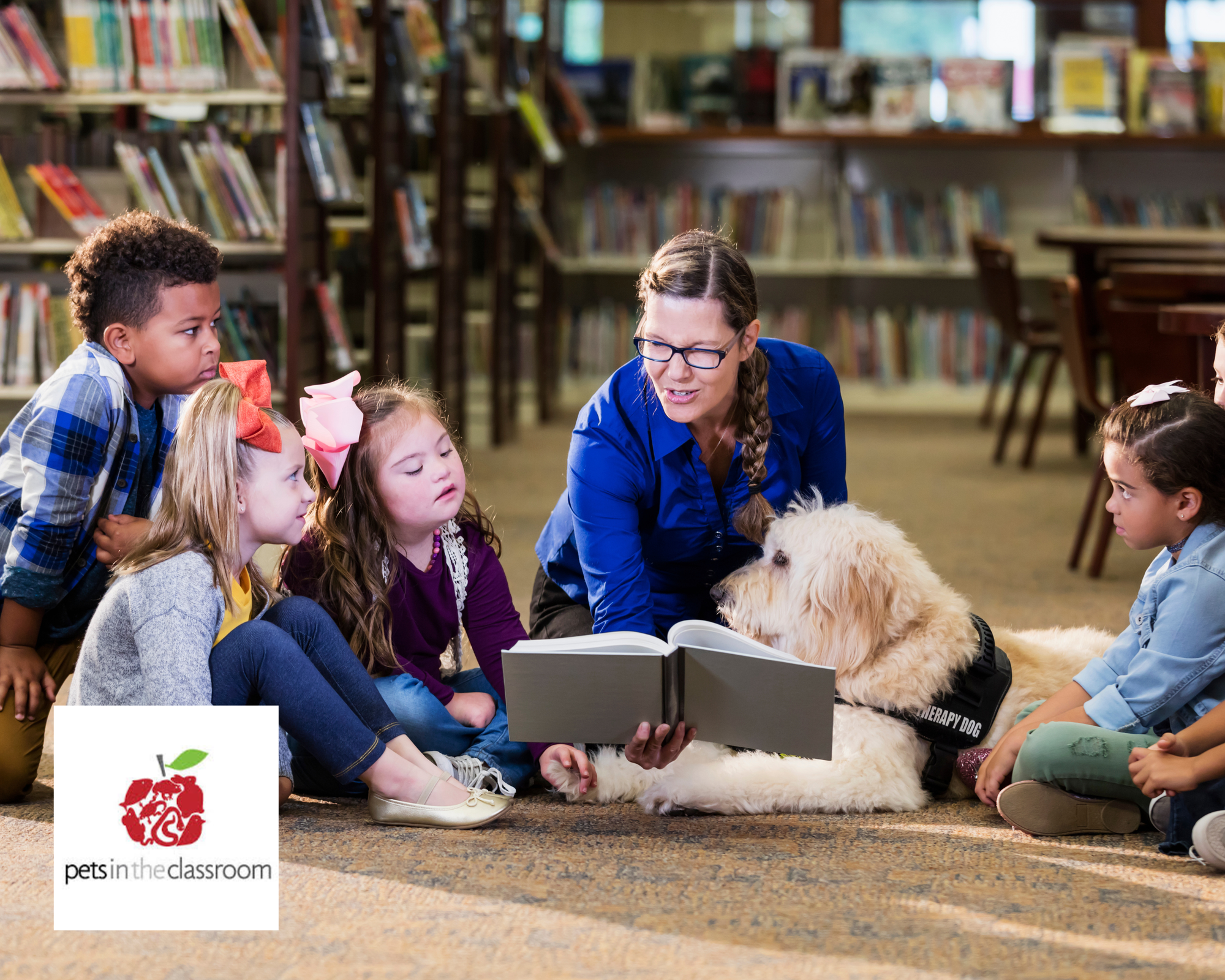 The Dogs Changing Classrooms — And How You Can Be Part of It