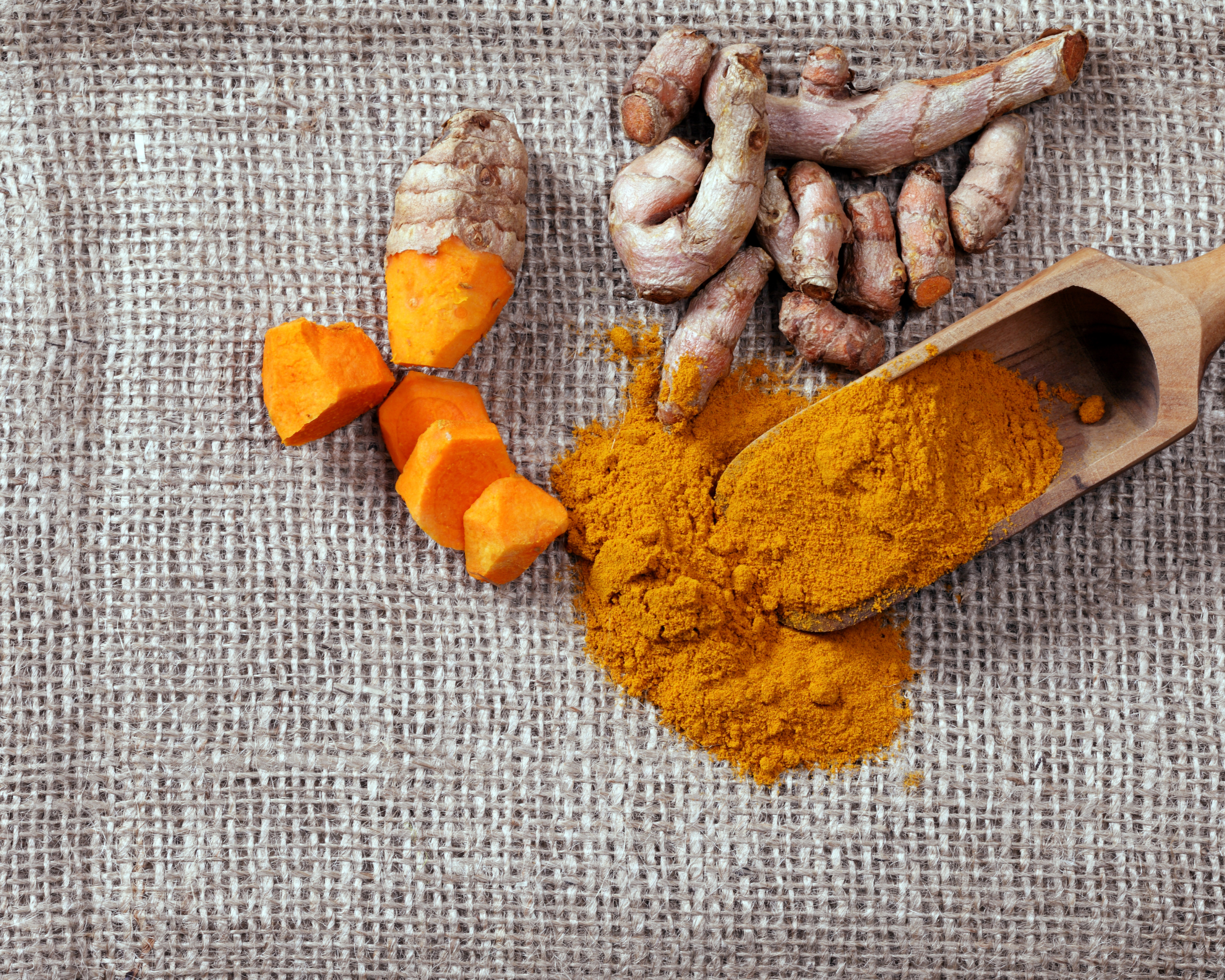 Curcumin for Dogs: What the Science Says About Joint Health
