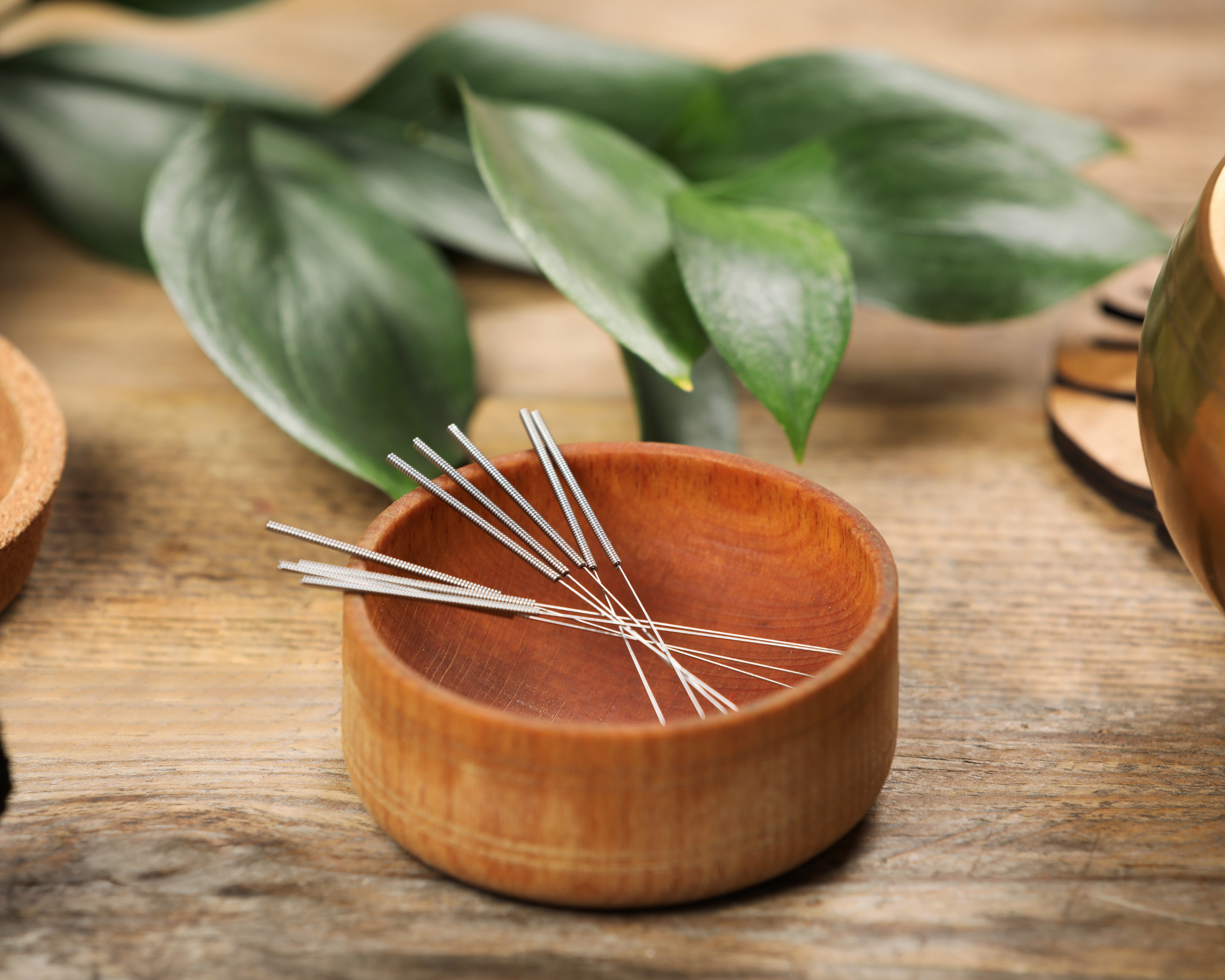 Not Sold on Acupuncture for Dogs? New Research Says It Might Help Them Walk Again