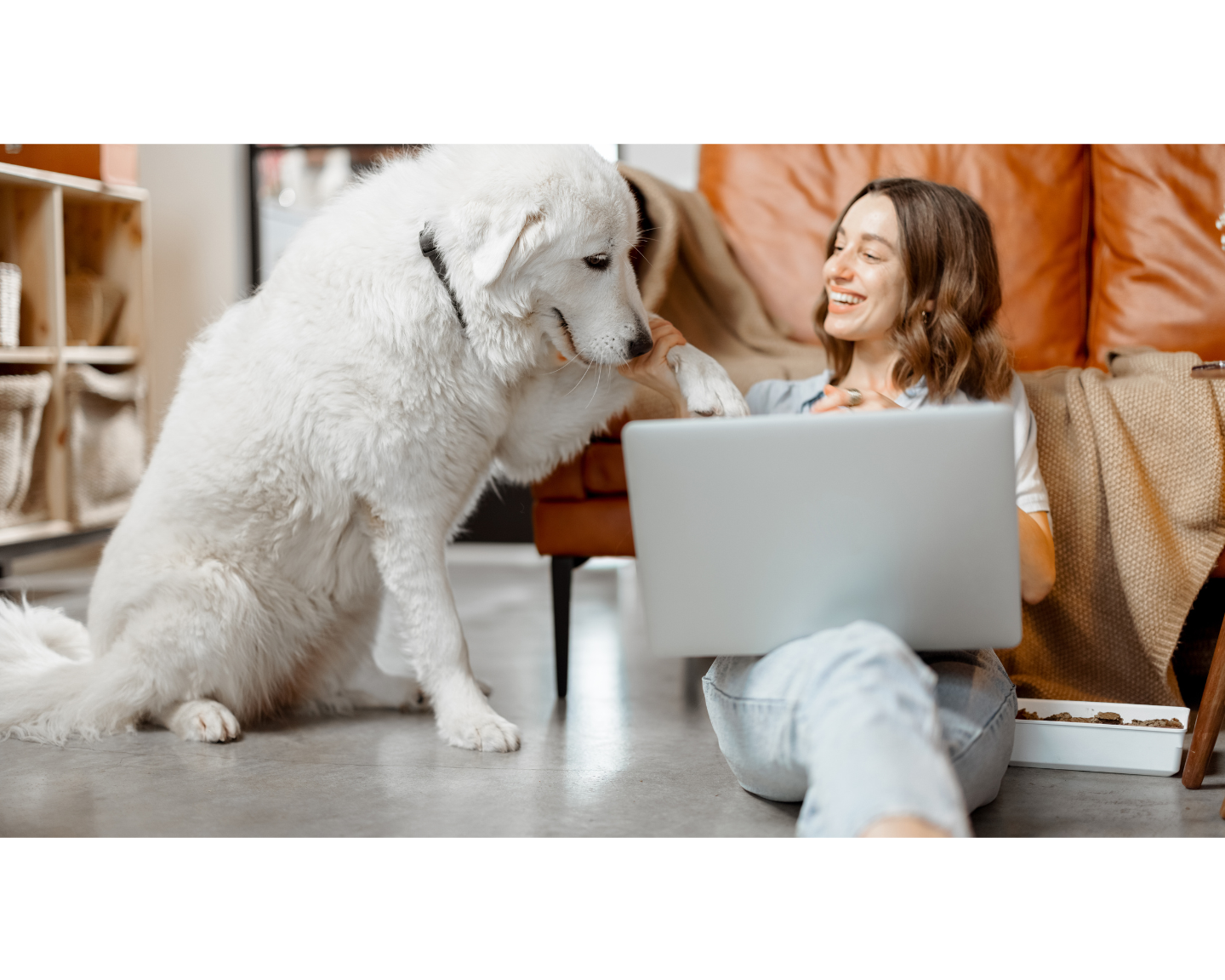 The Ultimate Work-from-Home Routine for Dog Parents