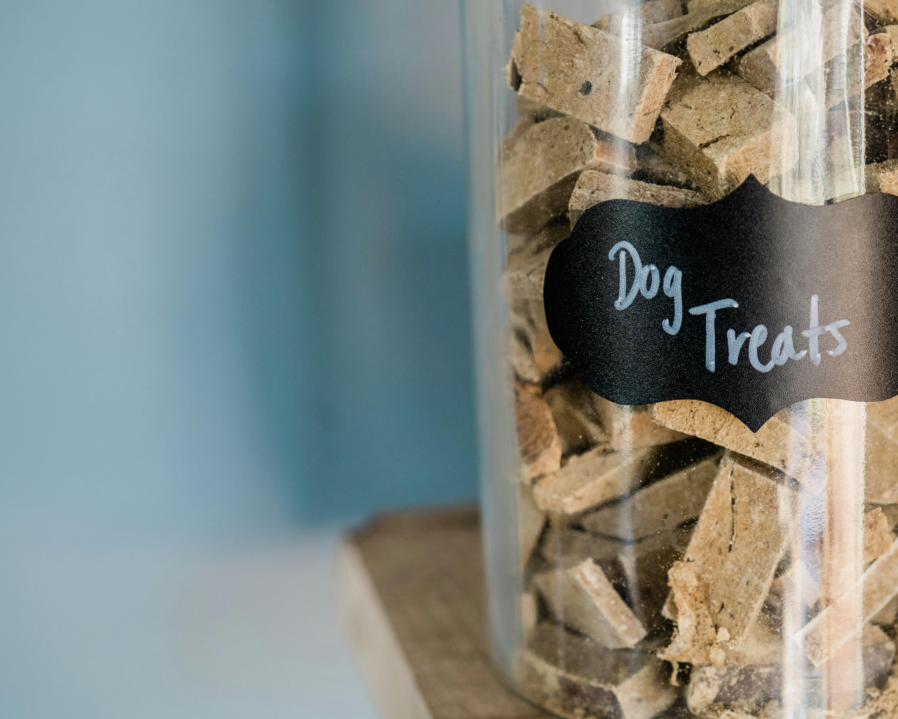 Food Toppers, Mix-Ins, and Gravy: What Actually Helps (And What Hurts)