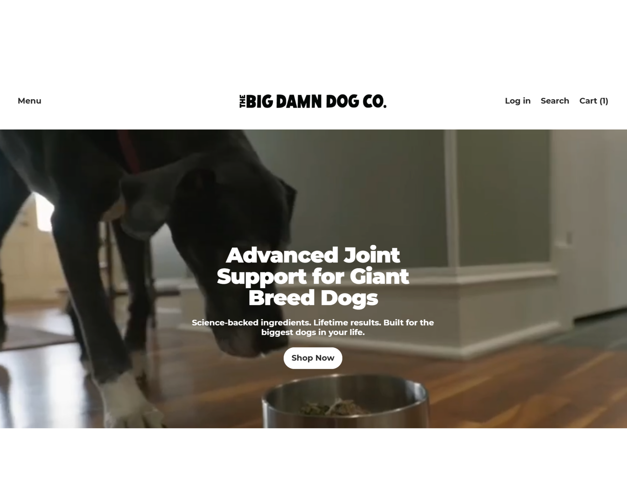 Explore Our New Home for Big Dogs and Their People