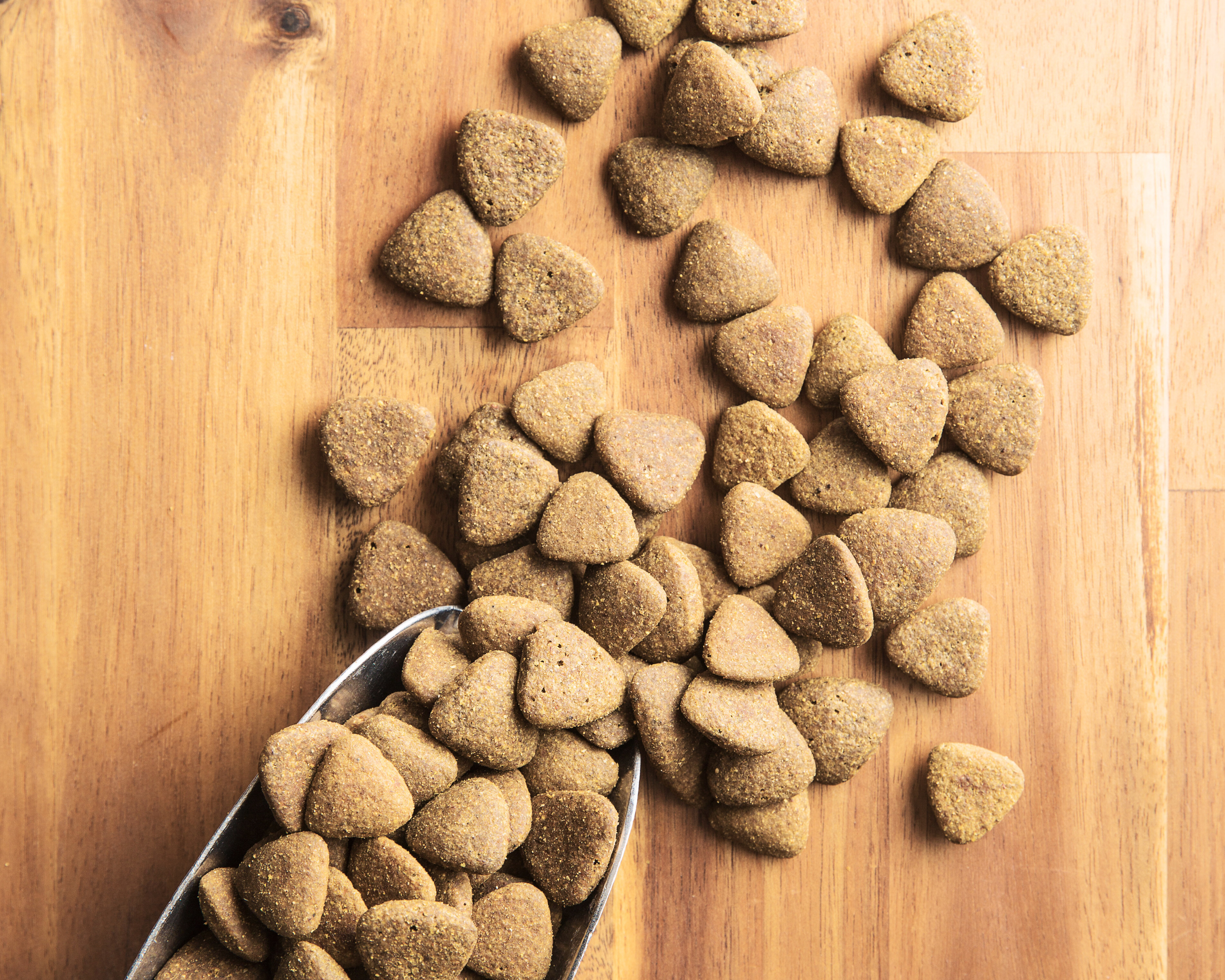 Kibble, Raw, or Fresh: Which Diet Fits Your Giant Breed?