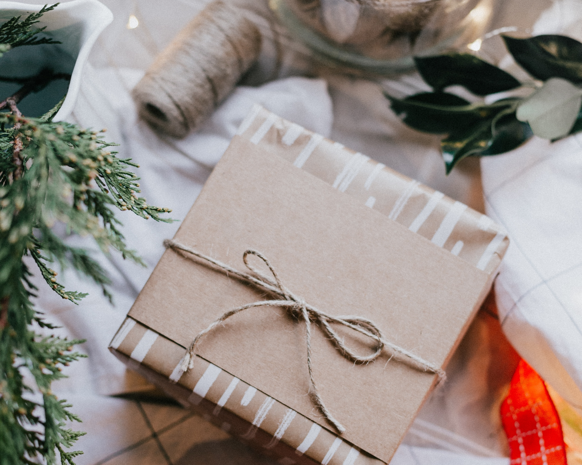 2025 Holiday Gift Guide for Giant & Large Dogs: Big Gifts for Big Pups