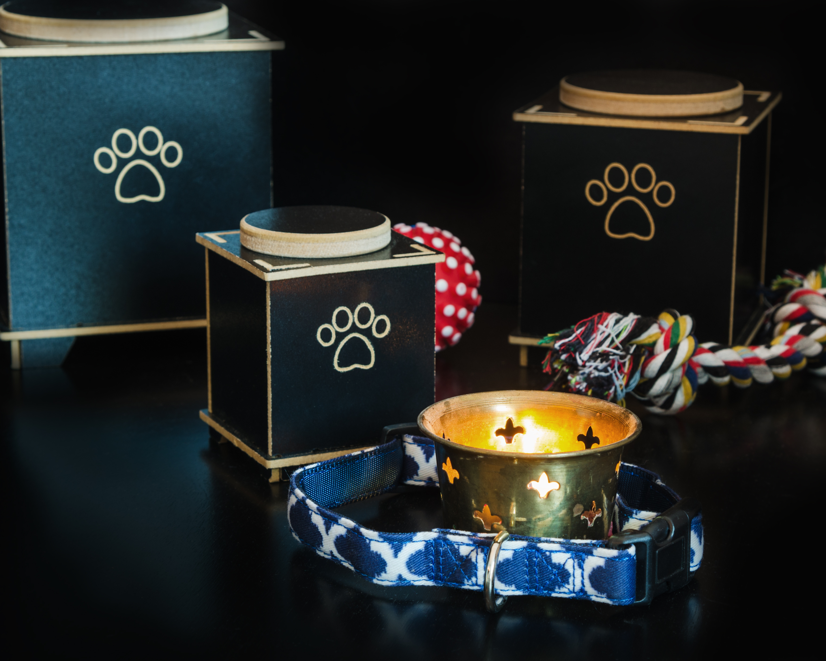 Honoring Their Memory: Meaningful Ways to Memorialize Your Pet