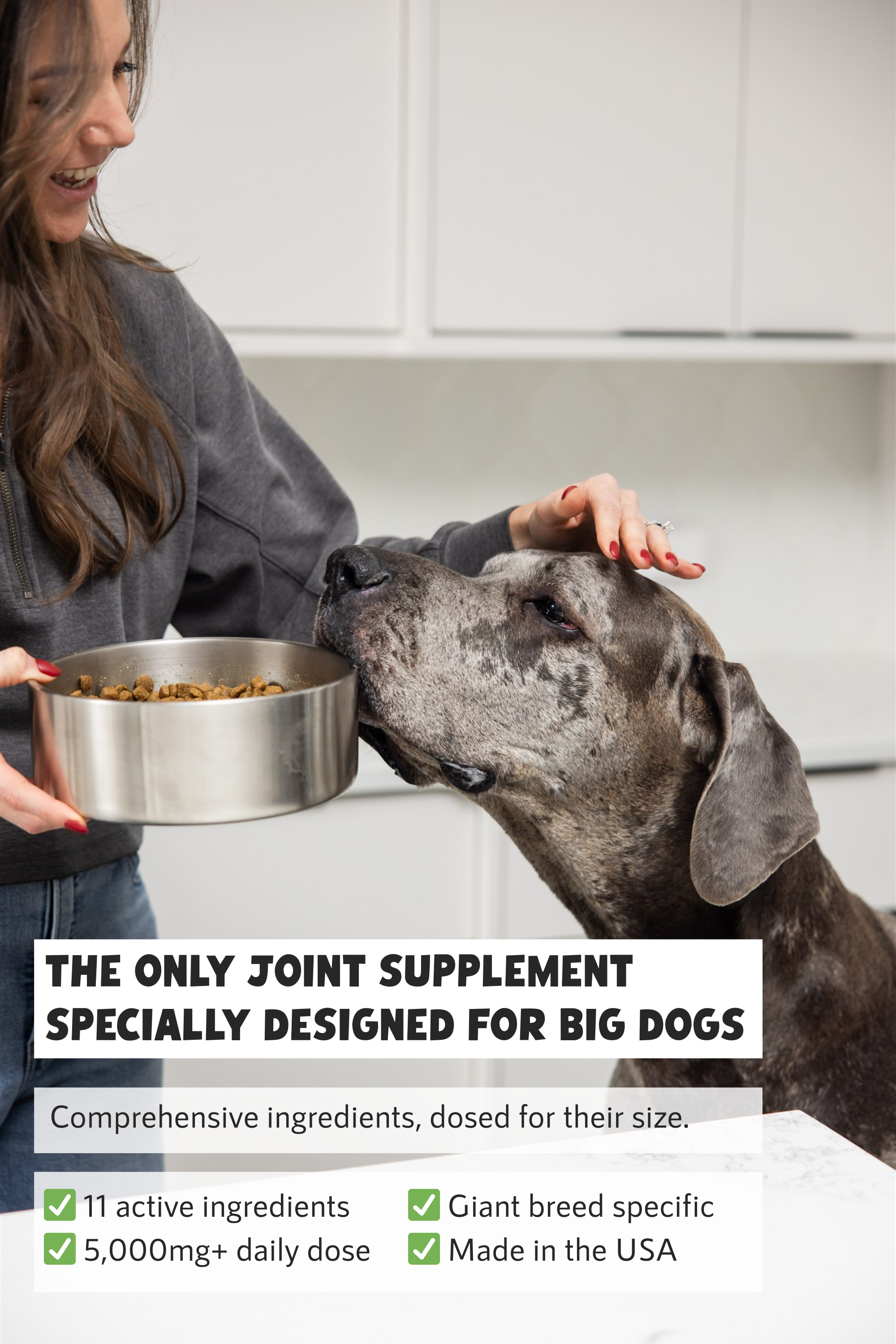 Giant Breed Hip & Joint Gravy Blend