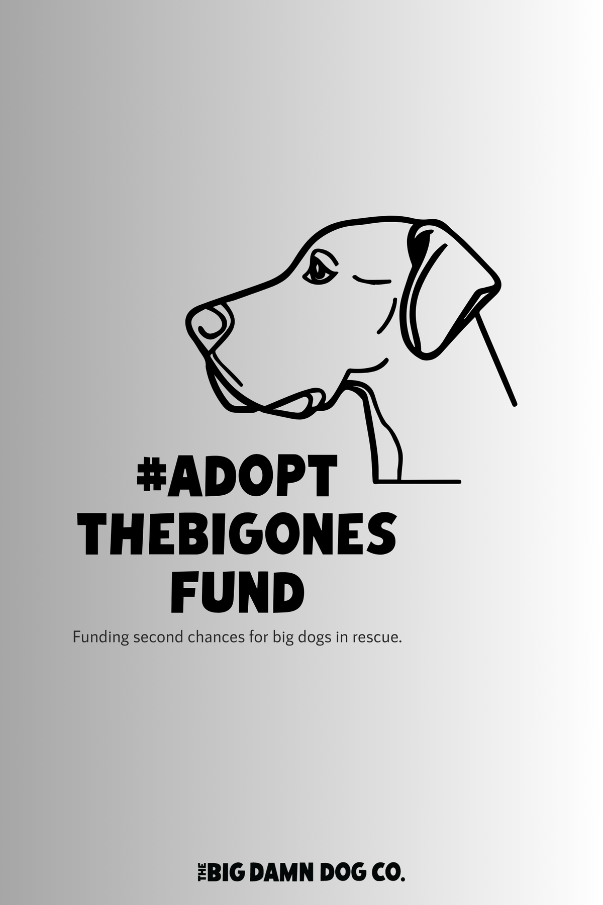 Add a Donation to the #AdoptTheBigOnesFund