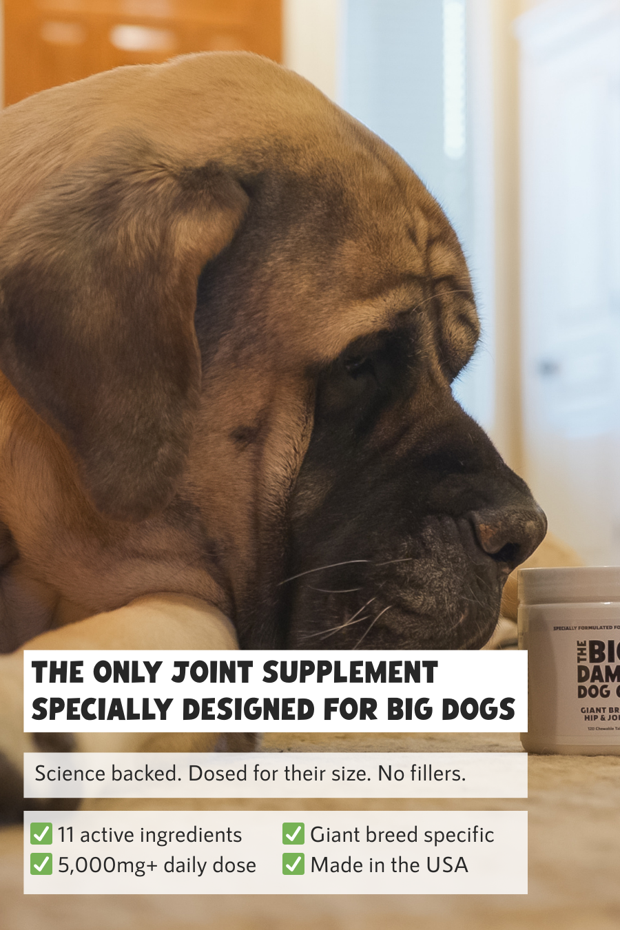 Giant Breed Hip & Joint