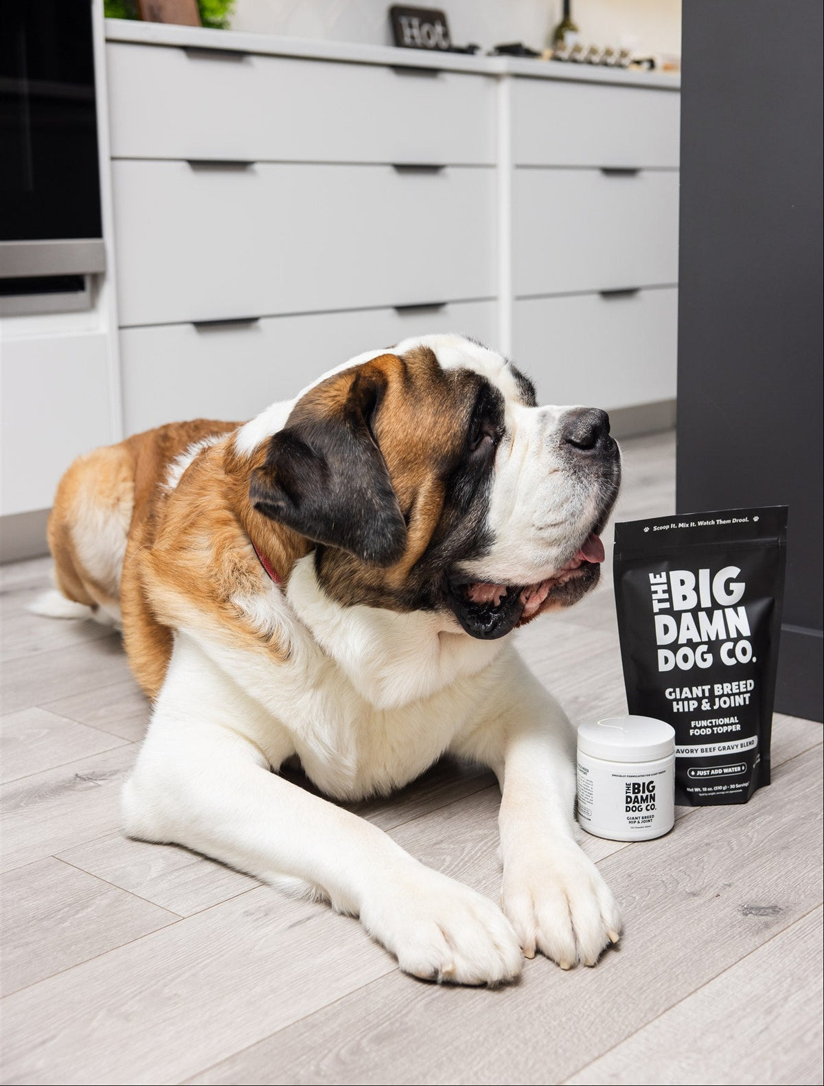 Large dog lying on a kitchen floor with 'Big Damn Dog Co' products nearby