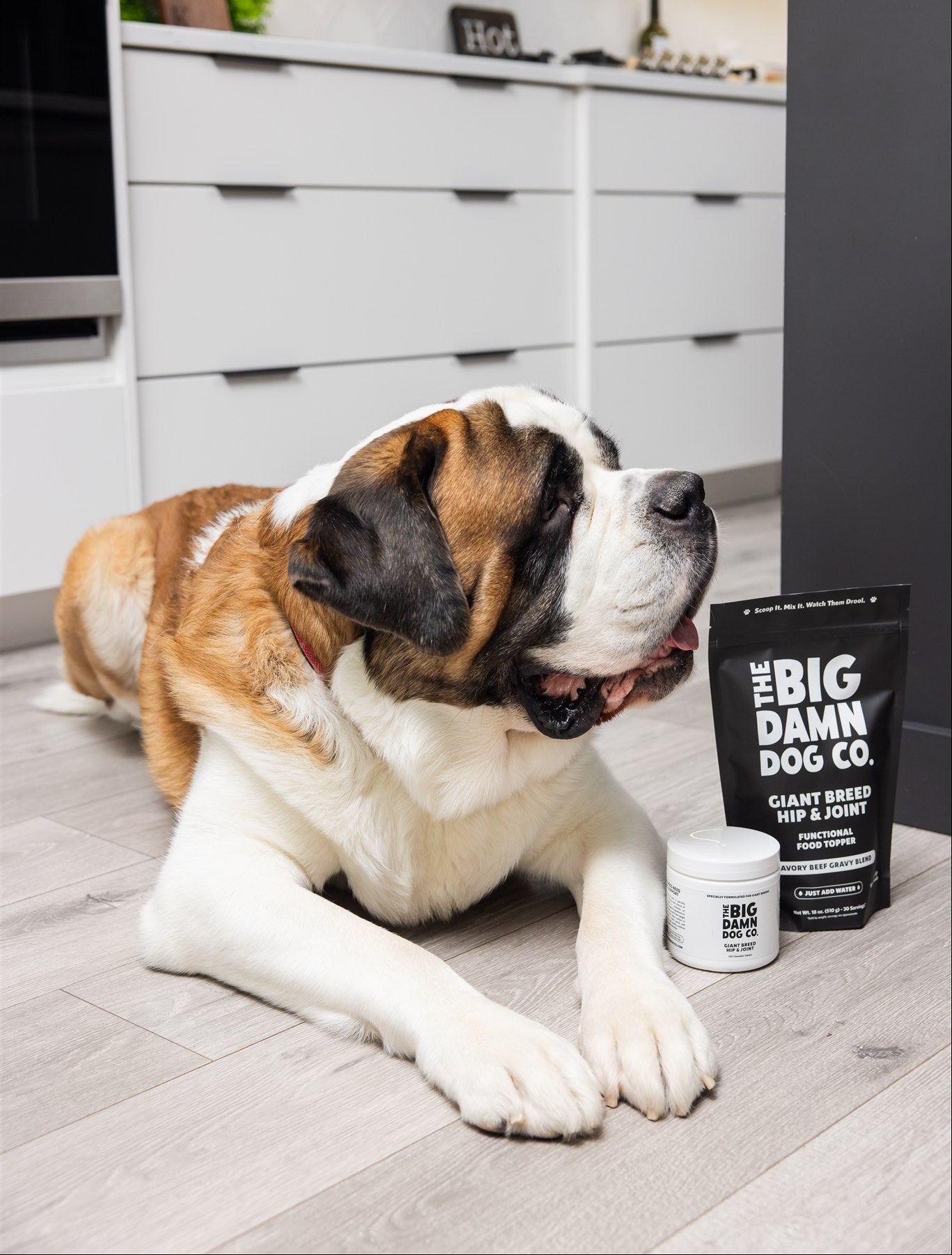 Large dog lying on a kitchen floor with 'Big Damn Dog Co' products nearby