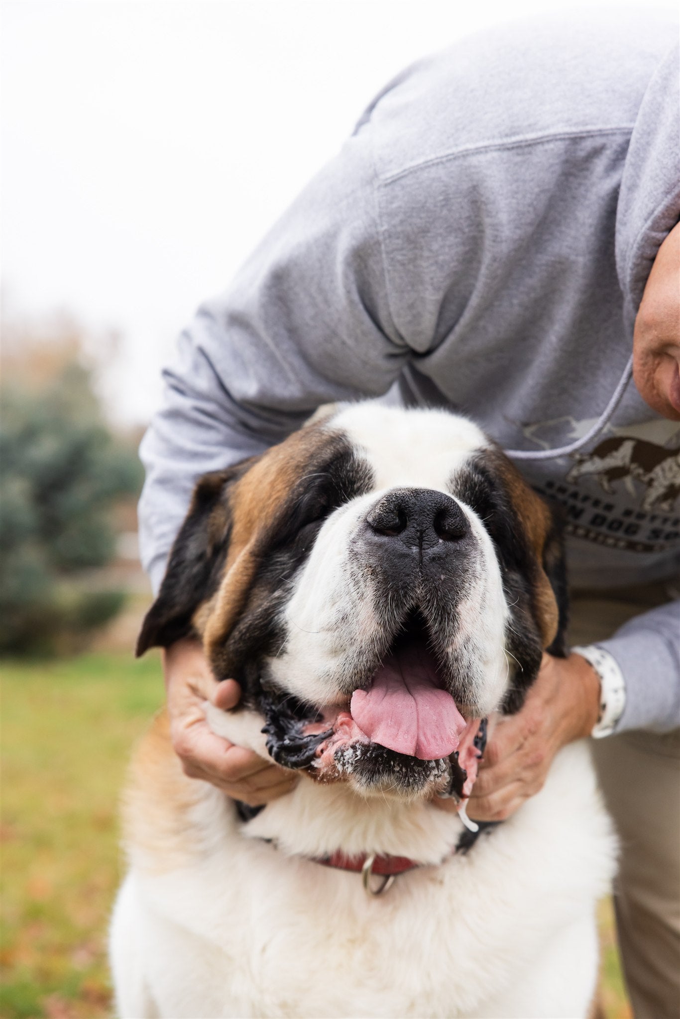 Giant Breed Hip & Joint Gravy Blend