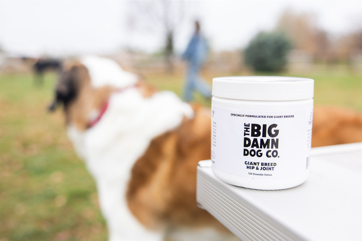 Container of 'The Big Damn Dog Co.' product with dogs in the background