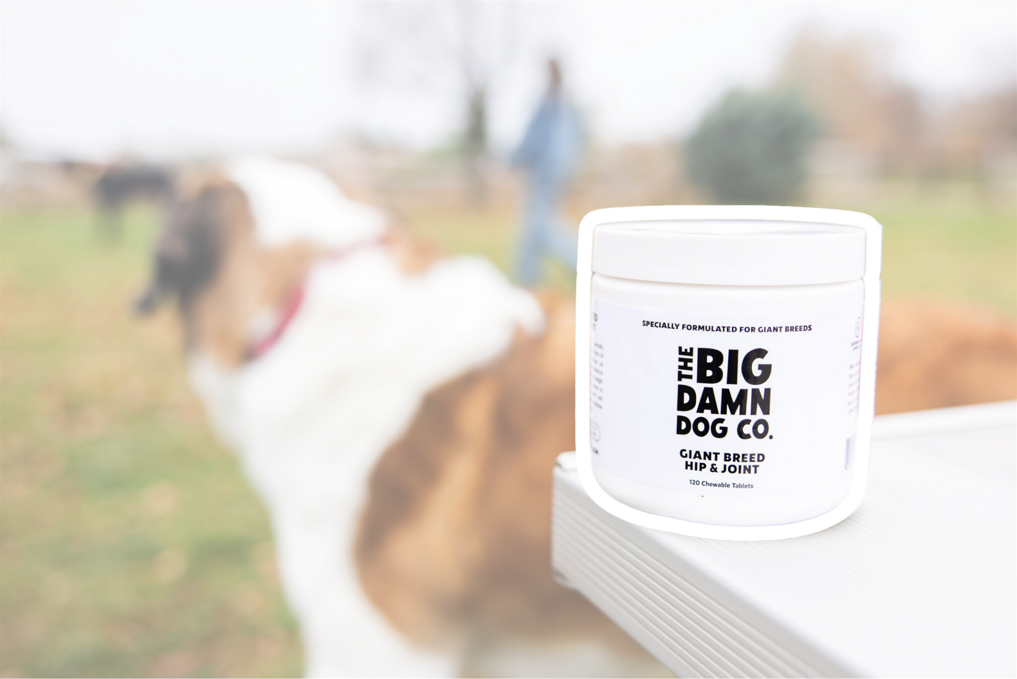 Container of 'The Big Damn Dog Co.' product with blurred background of dogs playing