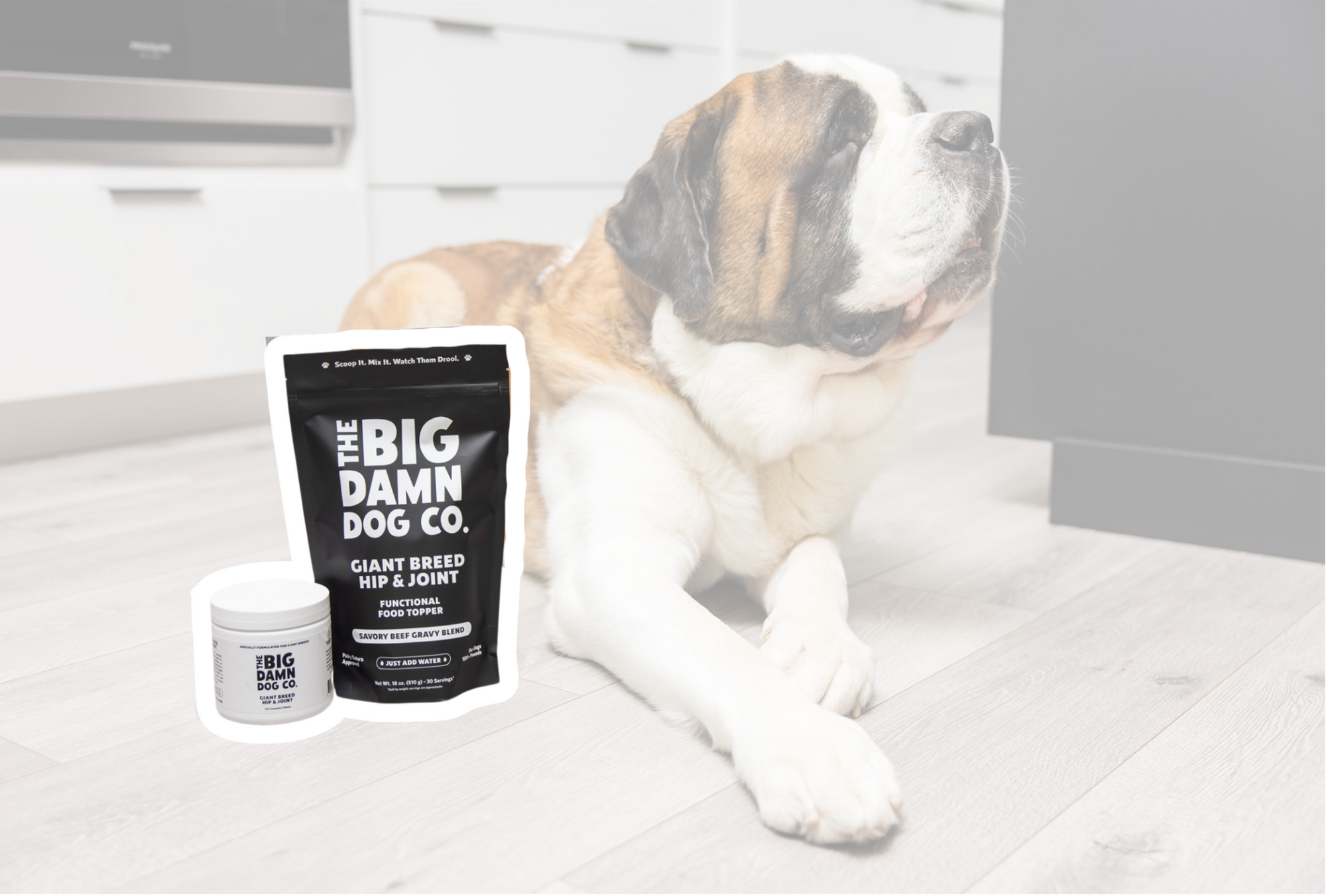 Dog lying on a floor with 'The Big Damn Dog Co.' pet supplement packaging.