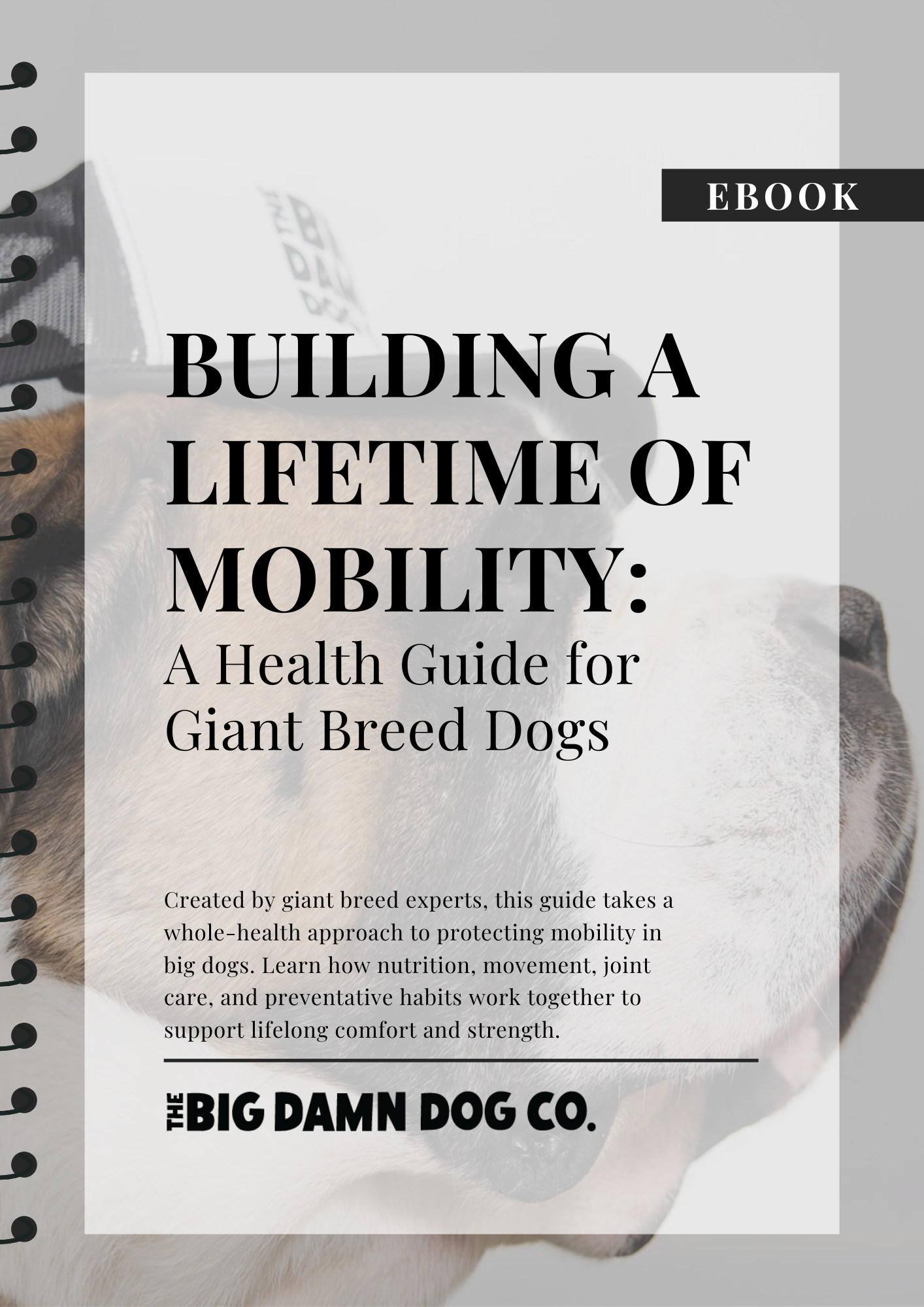 Building a Lifetime of Mobility: A Health Guide for Giant Breed Dogs eBook