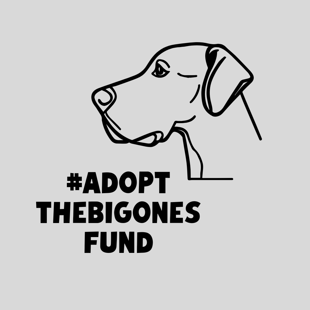 Add a Donation to the #AdoptTheBigOnesFund