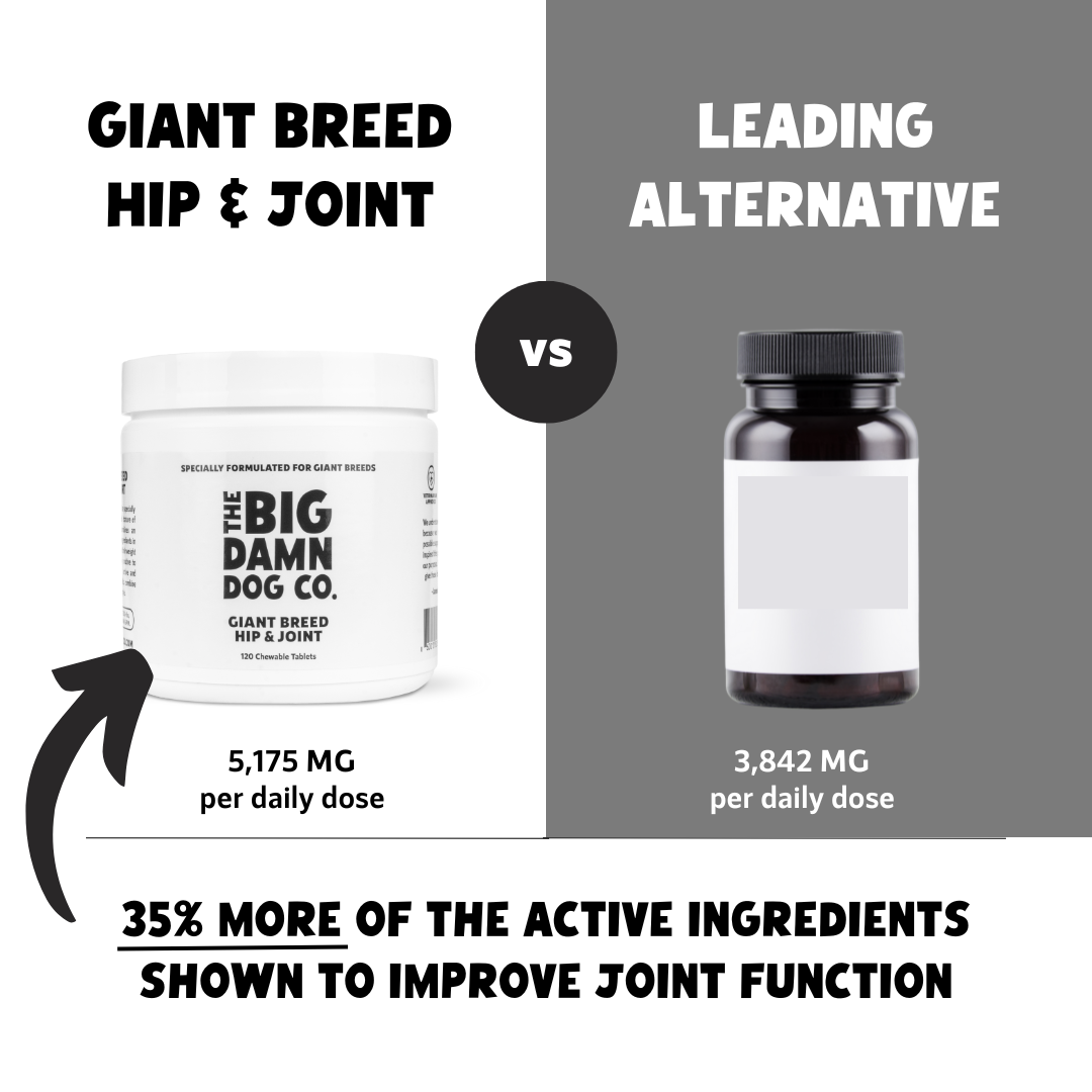 Best joint supplement for giant breed dogs clearance