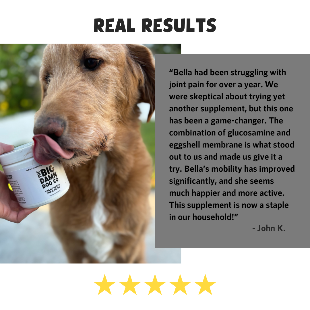 Giant Breed Hip Joint The Big Damn Dog Co