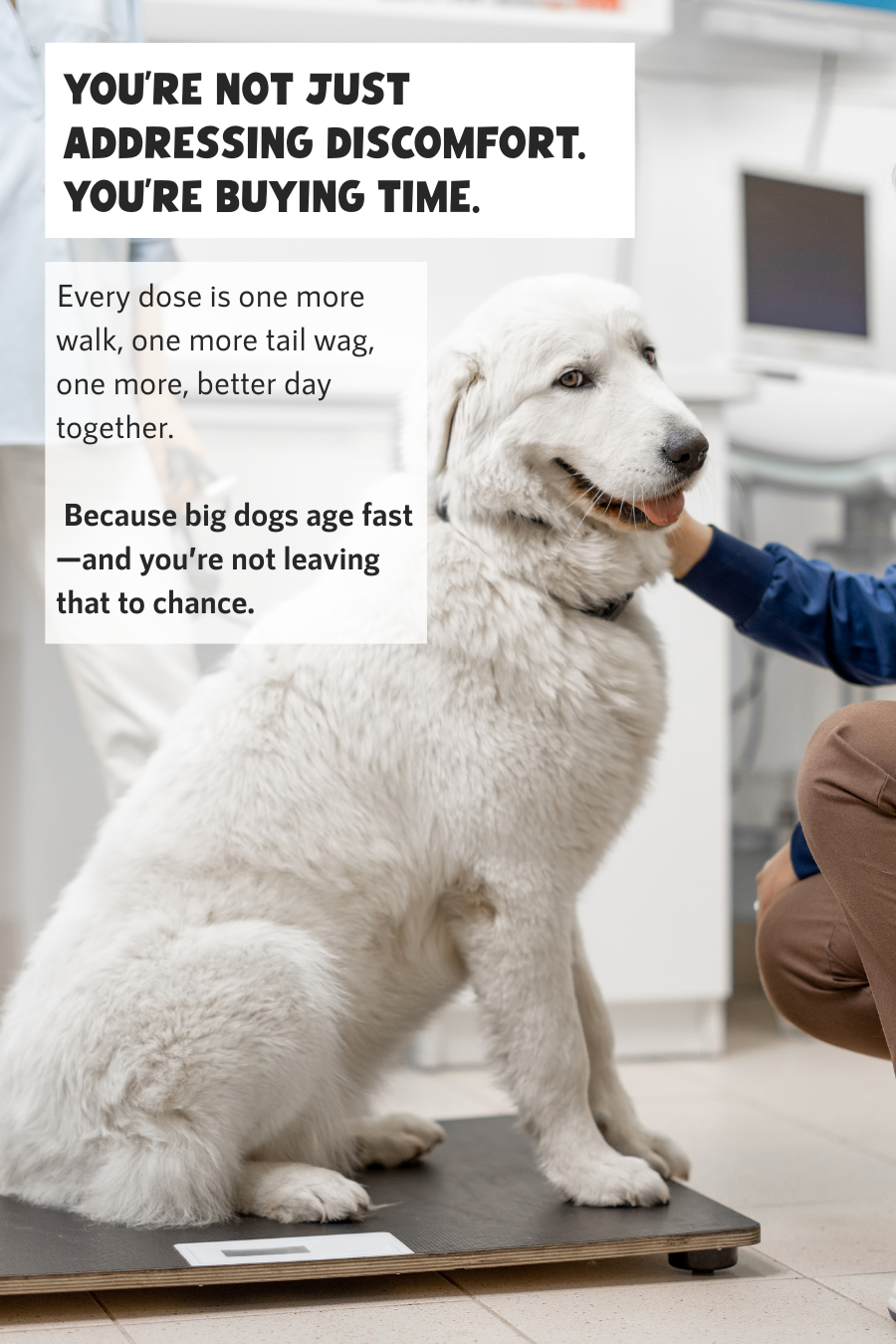 Giant Breed Hip & Joint
