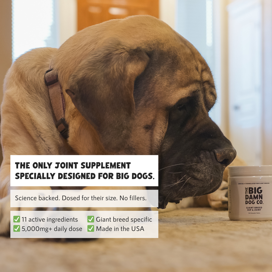 Grain Free Merrick Little Plates Merrick Lil' Plates Small Breed